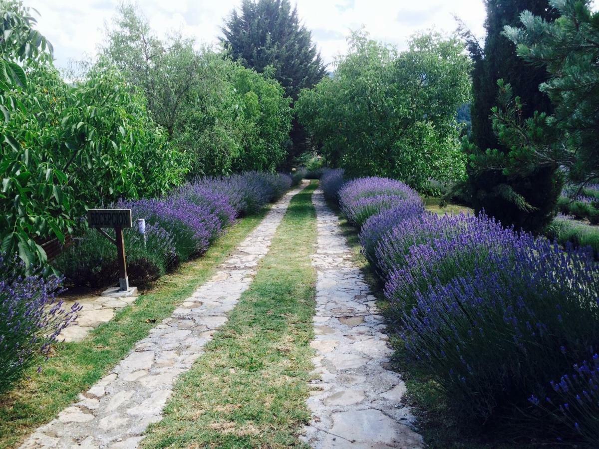 Brugarolas Village Castelltercol Εξωτερικό φωτογραφία