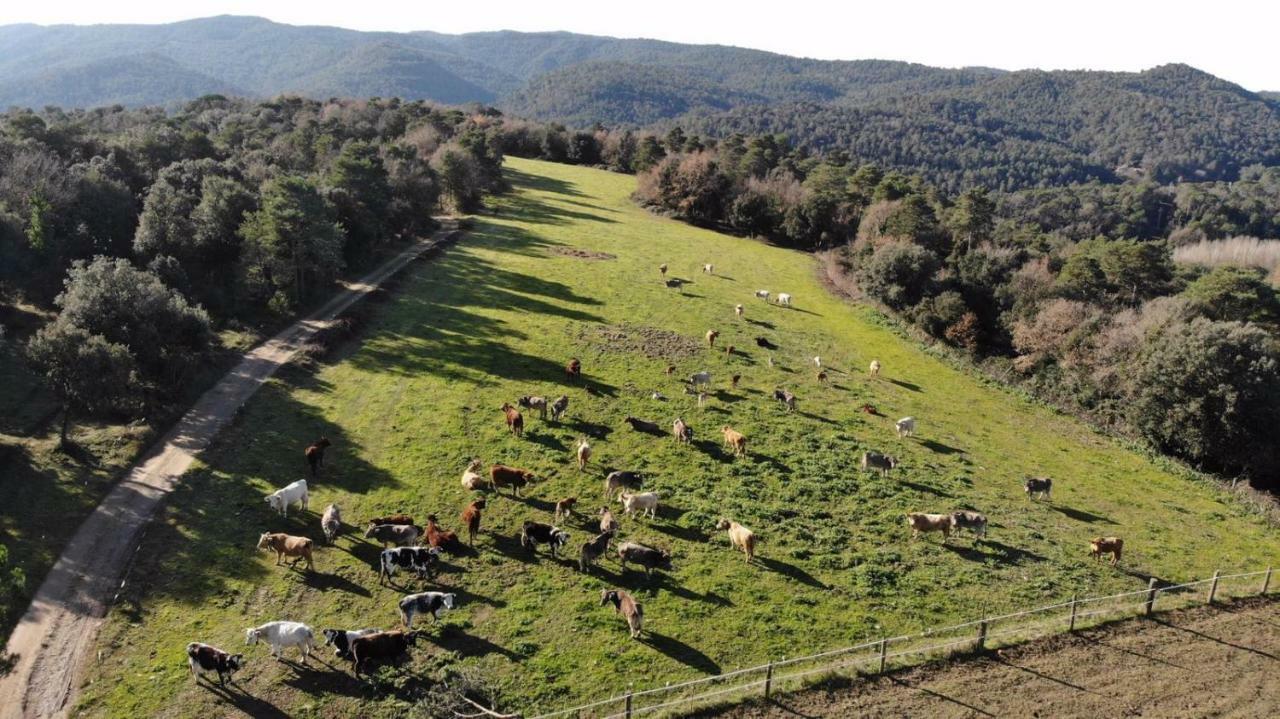 Brugarolas Village Castelltercol Εξωτερικό φωτογραφία